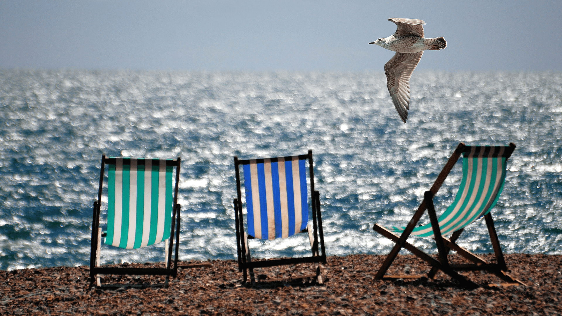 <strong>De belasting op de tweede verblijven te Knokke werd onwettig verklaard </strong>